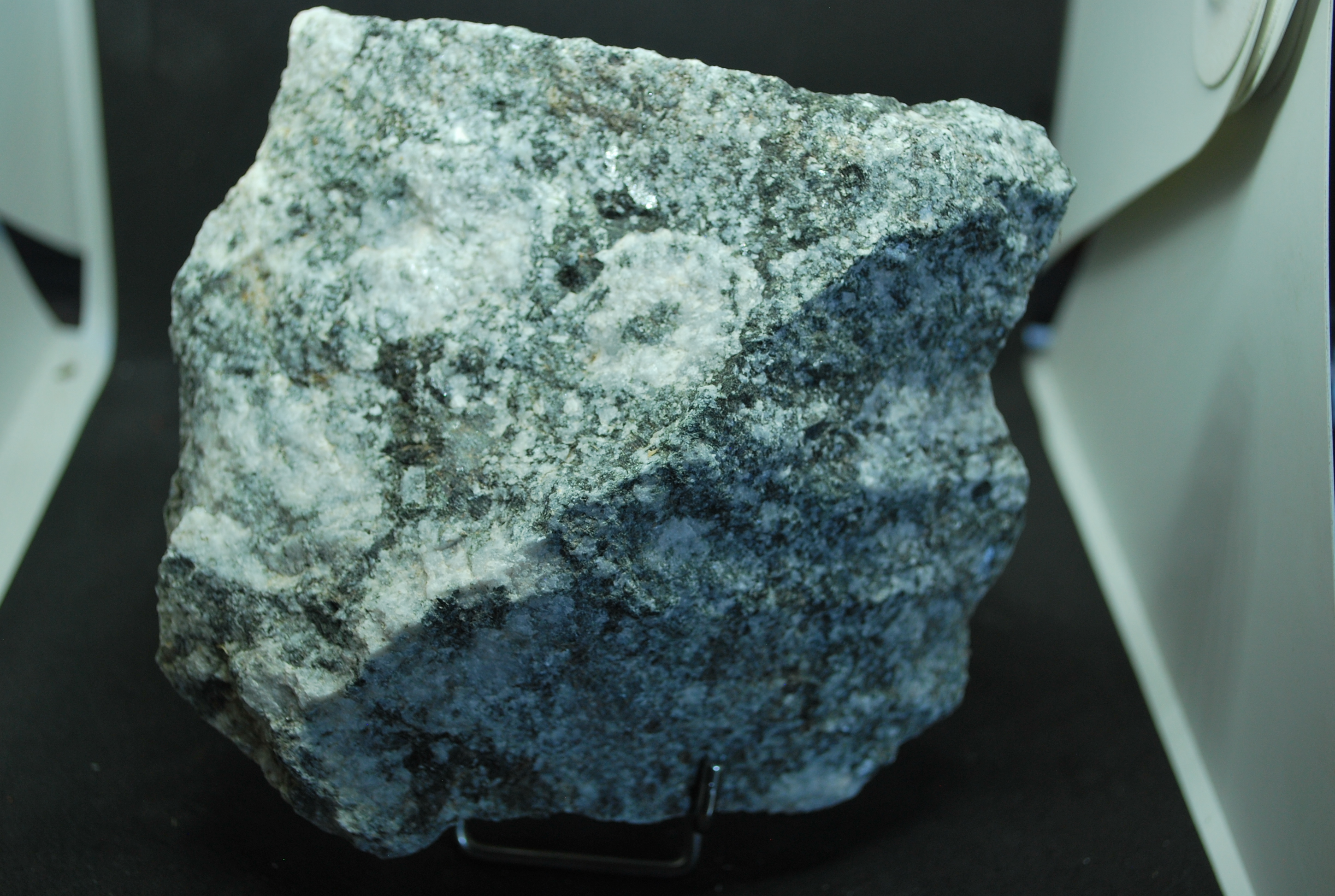 Visitez BLOC BRUT DE DIORITE ORBICULAIRE CORSE