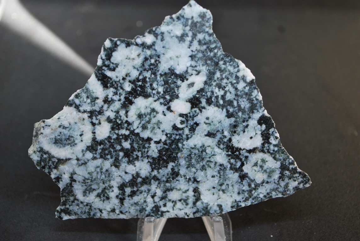 DIORITE ORBICULAIRE DE CORSE