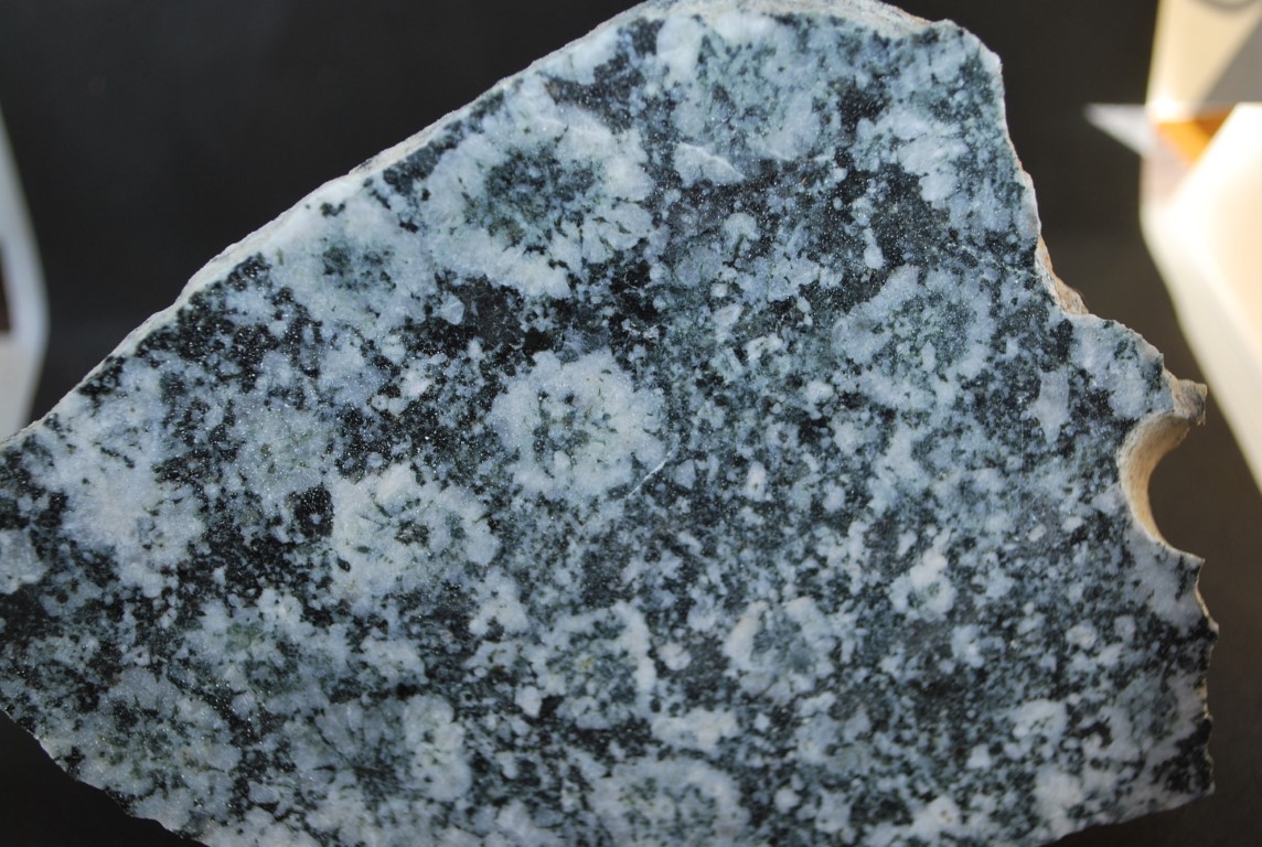 DIORITE ORBICULAIRE DE CORSE
