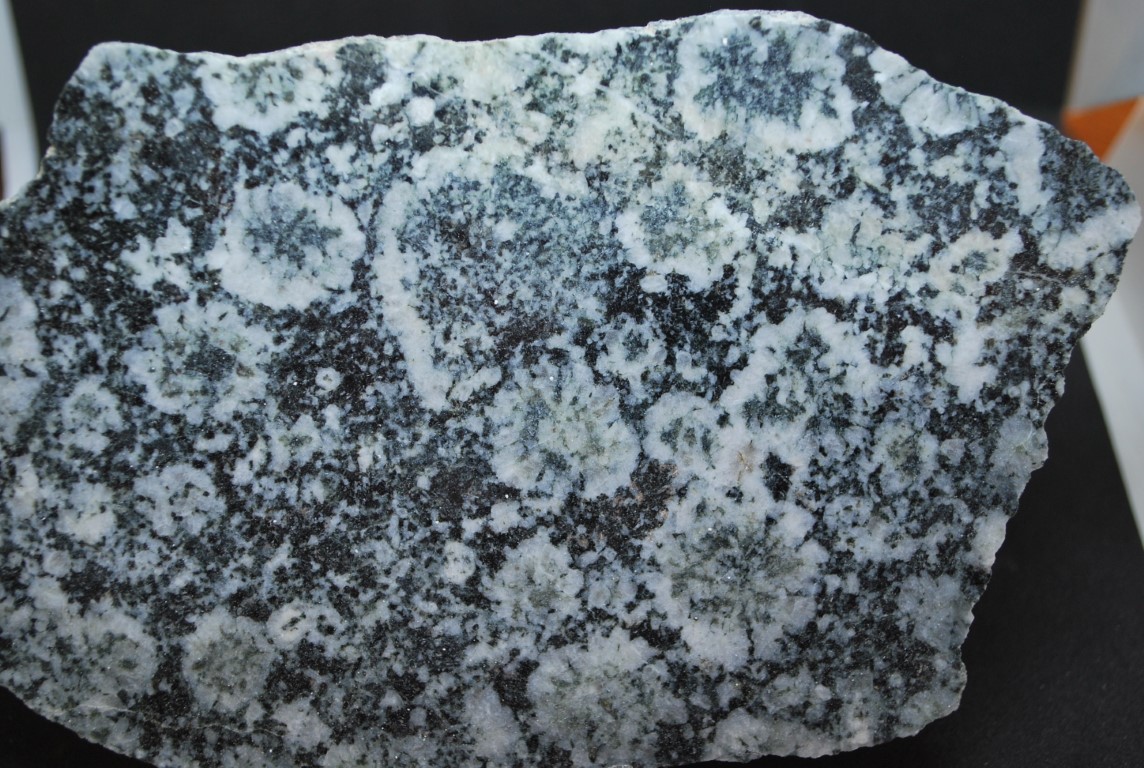 DIORITE ORBICULAIRE DE CORSE